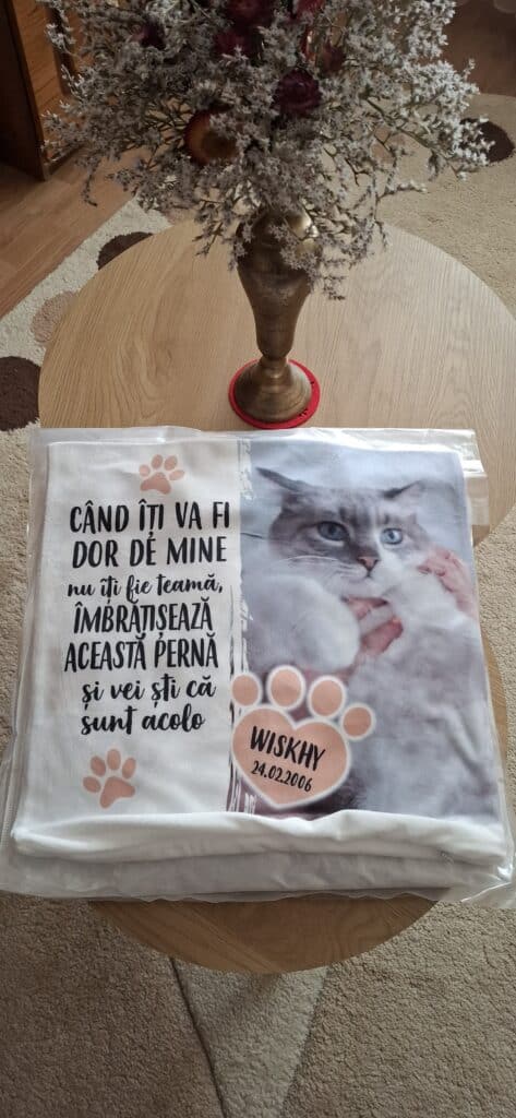 Image #1 from Ghiță Virgil