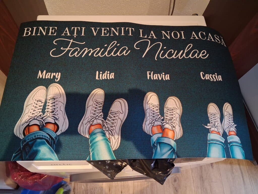 Image #1 from Lixandru Mihaela